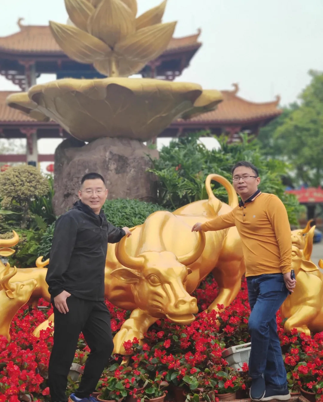 圖片